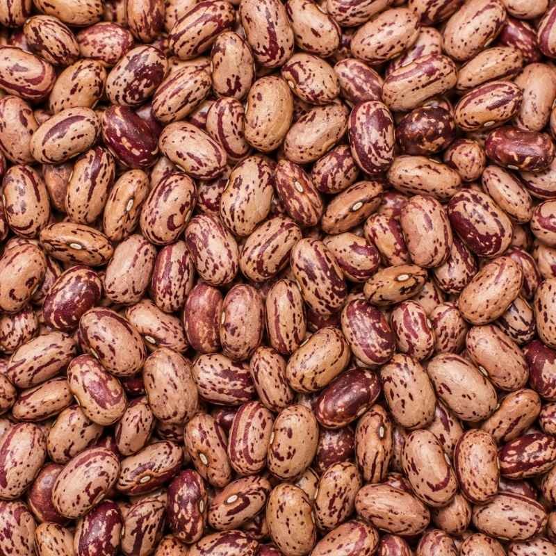 Kabuli Chana fmcg product foodyards.in