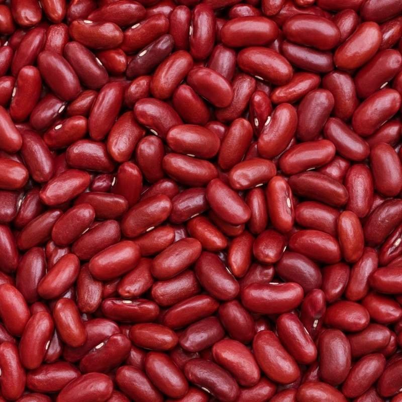 Rajma Red fmcg product foodyards.in (2)