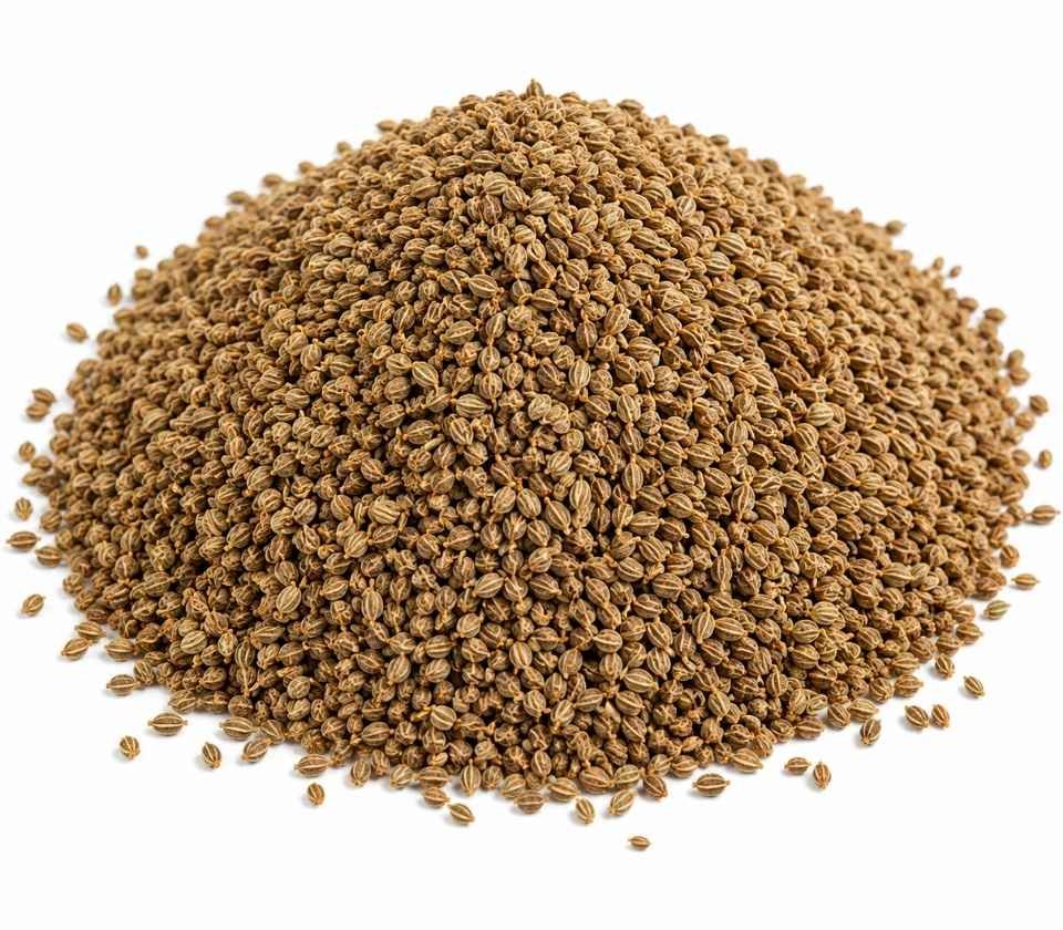 Whole Ajwain Seeds fmcg product foodyards.in