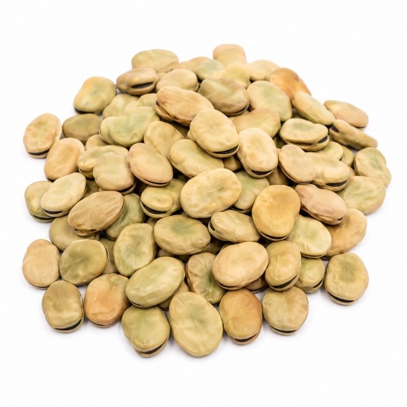 Field Beans fmcg product foodyards.in (1)