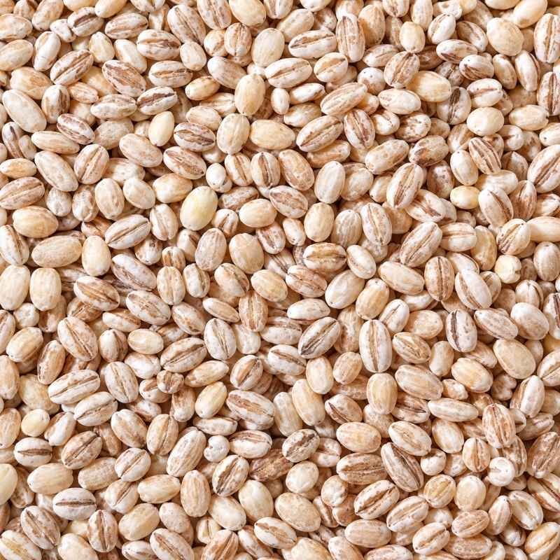 Barley fmcg product foodyards.in (1)