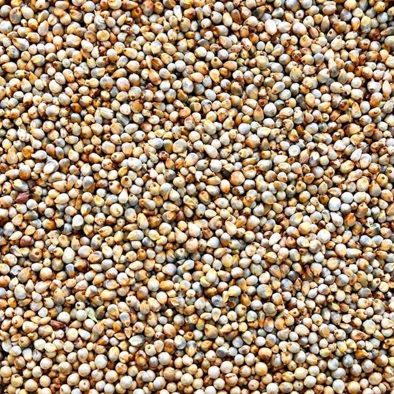 Millet Bajra fmcg product foodyards.in
